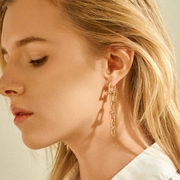 Chain Drop Earrings - Picture 6 of 7